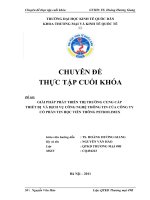 Giải pháp phát triển thị trường cung cấp thiết bị và dịch vụ công nghệ thông tin của Công Ty Cổ Phần Tin Học Viễn Thông Petrolimex