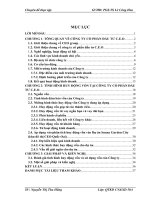 Vấn đề huy động vốn cho thi công xây dựng công trình của Công ty Cổ phần Đầu tư C.E.O