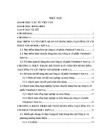 Hoàn thiện kế toán hàng hóa tại công ty cổ phần Vinafood 1 Sơn La