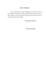 Xây dựng hệ tiêu chí đánh giá trình độ phát triển dân chủ ở Việt Nam hiện nay