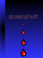 Slide Hội chứng xuất huyết
