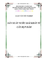 sản xuất nước giải khát từ cây bụt dấm