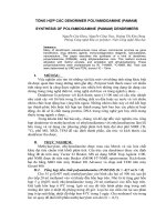 TỔNG HỢP CÁC DENDRIMER POLYAMIDOAMINE (PAMAM)