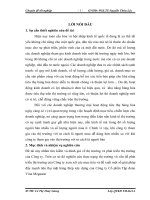 Một số giải pháp đẩy mạnh hoạt động tiêu thụ mặt hàng thép xây dựng của Công ty Cổ phần tập đoàn VINA MEGASTAR trên thị trường Hà Nội