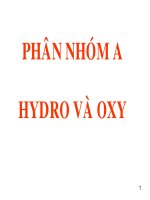 Slide bài giảng   PHÂN NHÓM A HYDRO và OXY