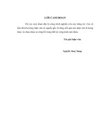 Giải pháp hạn chế rủi ro tín dụng tại Ngân hàng Phát triển nhà Đồng bằng Sông Cửu Long - chi nhánh Hà Nội