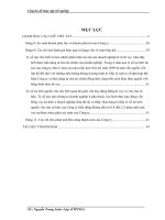 Đánh giá hiệu quả qúa trình sử dụng vốn của Công ty cổ phần VICEM Vật tư vận tải Xi măng