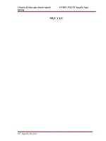 Hoàn thiện kế toán chi phí sản xuất và tính giá thành sản phẩm tại công ty TNHH Austfeed Việt Nam