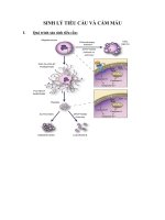 Sinh lí học: SINH lý TIỂU CẦU VÀ BẠCH CẦU