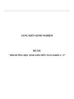 SKKN Bồi dưỡng học sinh giỏi môn Toán khối 4 + 5