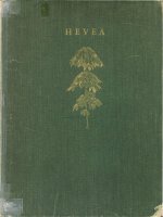 CÂY CAO SU: TÀI LIỆU THAM KHẢO NƯỚC NGOÀI