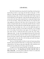 Sử dụng hiệu quả vốn đầu tư tỉnh Bắc Ninh. Lý luận và thực tiễn