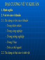 Bài giảng slide về vi sinh vật