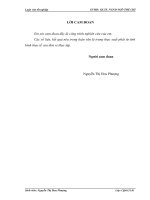 Hoàn thiện công tác kế toán bán hàng và xác định kết quả bán hàng ở Công Ty TNHH Sản Xuất và Thương Mại Tân Á