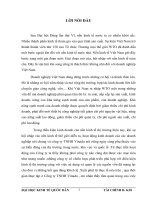 Một số giải pháp và kiến nghị nhằm nâng cao hiệu quả sử dụng vốn tại Công ty TNHH Vinadu