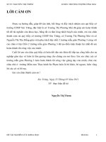 Sáng kiến kinh nghiệm Một số giải pháp tổ chức hoạt động vui chơi theo chủ đề cho trẻ mẫu giáo.