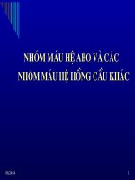 Slide nhóm máu hệ ABO và các nhóm máu hệ hồng cầu khác
