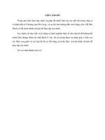 CÔNG TÁC KẾ TOÁN TẠI CÔNG TY CỔ PHẦN ĐẦU TƯ THƯƠNG MẠI PHI LONG