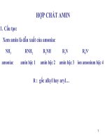 Slide bài giảng   hợp CHẤT AMIN