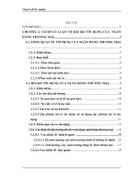 Phòng ngừa và hạn chế rủi ro tại ngân hàng TMCP Kỹ Thương Việt Nam- chi nhánh Hà Tây