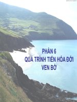 Bài giảng Địa chất biển đại cương  Phần 6: Quá trình tiến hóa đới ven bờ