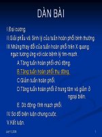 Những thay đổi của tuần hoàn phổi trên X quang ngực tương ứng với các bệnh lý tim mạch , tăng tuần hoàn phổi thụ động