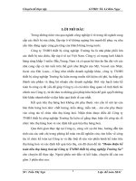 Hoàn thiện kế toán tiêu thụ hàng hoá tại Công ty TNHH thiết bị công nghiệp Trường Sa