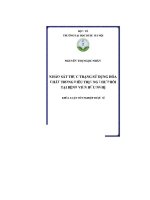 Khảo sát thực trạng sử dụng hóa chất trong điều trị ung thư phổi tại bệnh viện hữu nghị