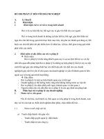 LIÊN HỆ THỰC TẾ RỦI RO PHÁP LÝ GẶP PHẢI CỦA DOANH NGHIỆP VIỆT NAM