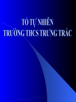 Bài thuyết trình thi Tổ trưởng giỏi 2015