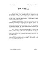 Nghiên cứu điều chế vật liệu hấp thụ kim loại nặng trong nước từ bùn đỏ