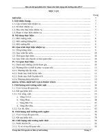 Báo cáo kết quả quan trắc môi trường năm 2013