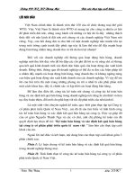 Kế toán bán hàng và xác định kết quả bán hàng tại công ty cổ phần phát triển quốc tế  nam việt