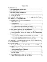 Nâng cao hiệu quả sử dụng vốn tại công ty Công ty Cổ phần Kiến trúc và Nội thất Agate Việt Nam