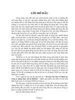 Kế toán tài sản cố định tại công ty cổ phần lương thực vật tư nông nghiệp Đăk Lăk