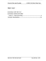 Hoàn thiện kế toán bán hàng tại Công Ty TNHH Tập đoàn Kỹ thuật cao HPG