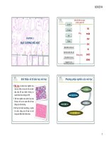 Bài giảng Mô học: Chương 1 và 2