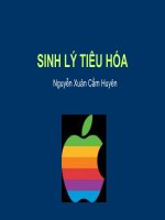hệ tiêu hóa ở cơ thể người