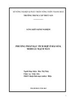 SKKN Phương pháp dạy học tích hợp Ở THPT