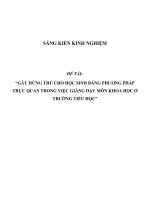 SKKN Gây hứng thú cho học sinh bằng phương pháp trực quan trong việc giảng dạy môn Khoa học ở trường tiểu học