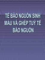 Slide tế bào nguồn sinh máu và ghép tủy tế bào nguồn