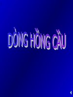 Bài giảng slide về dòng hồng cầu