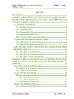 Hoàn thiện Kế Toán Lưu Chuyển Hàng Nhập Khẩu Tại Công ty cổ phần XNK vật tư nông nghiệp và nông sản
