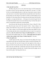 Hoàn thiện hạch toán nguyên vật liệu, công cụ dụng cụ tại Công ty Cổ phần Sông Đà 2