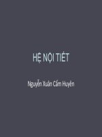 hệ nội tiết ở người