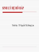 sinh lý hệ hô hấp ở người