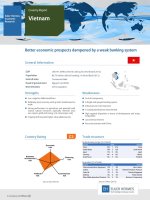 Country report vietnam