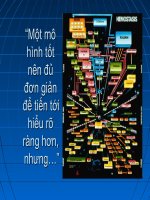 Slide mô hình sơ đồ đông máu mới