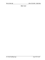 Phân tích tình hình tài chính thông qua hệ thống báo cáo tài chính kế toán và các biện pháp nâng cao hiệu quả sử dụng vốn kinh doanh tại Công  ty TNHH THIẾT BỊ CHIẾU SÁNG ĐỨC SƠN