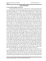 Thực trạng xây dựng và phát triển thương hiệu tại công ty cổ phần đầu tư và phát triển du lịch VINACONEX